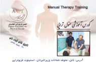 Manual Therapy Integrated Approach